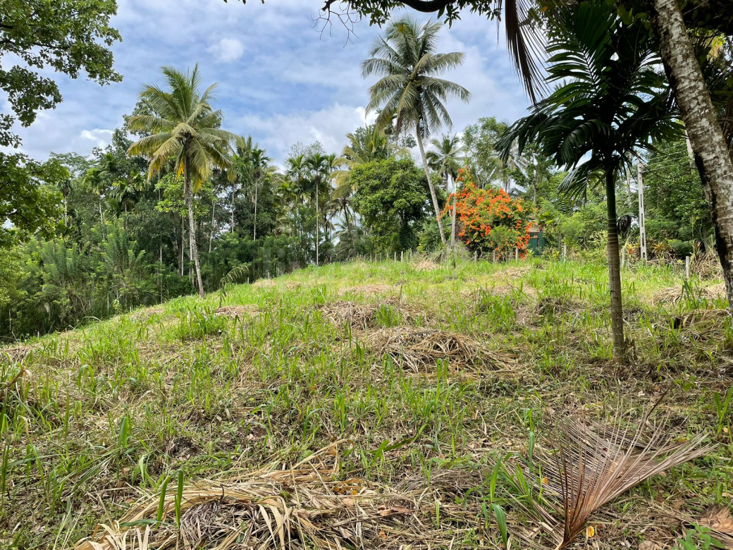 land for sale Kandy - Naranwala