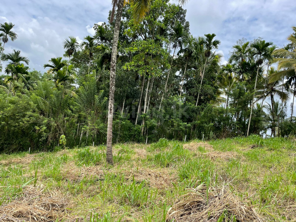 land for sale Kandy - Naranwala