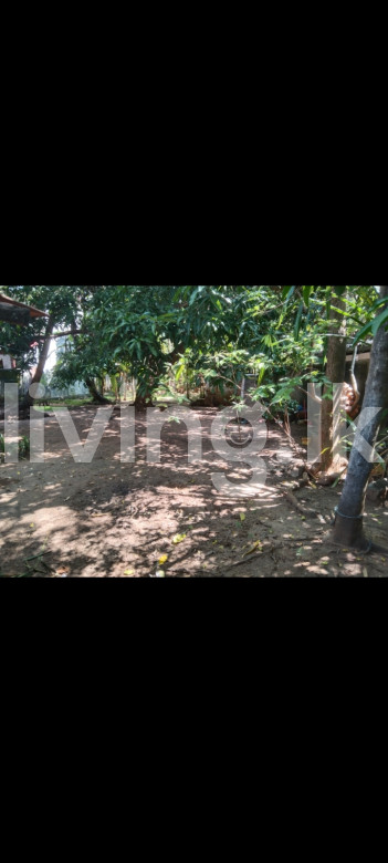 කදුරුවෙල පොලොන්නරුව ප්රදාන නගරයට 150M දුරින් පර්චස් 10 ක ඉඩම් කොටසක් විකිනිමට ඇත.