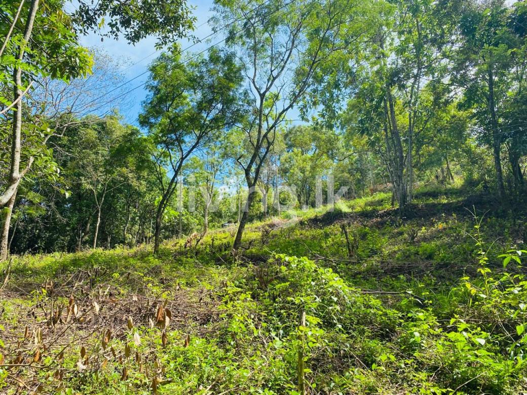 Land for sale