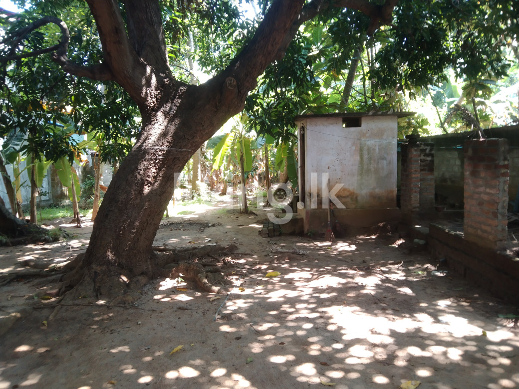කදුරුවෙල පොලොන්නරුව ප්රදාන නගරයට 150M දුරින් පර්චස් 10 ක ඉඩම් කොටසක් විකිනිමට ඇත.