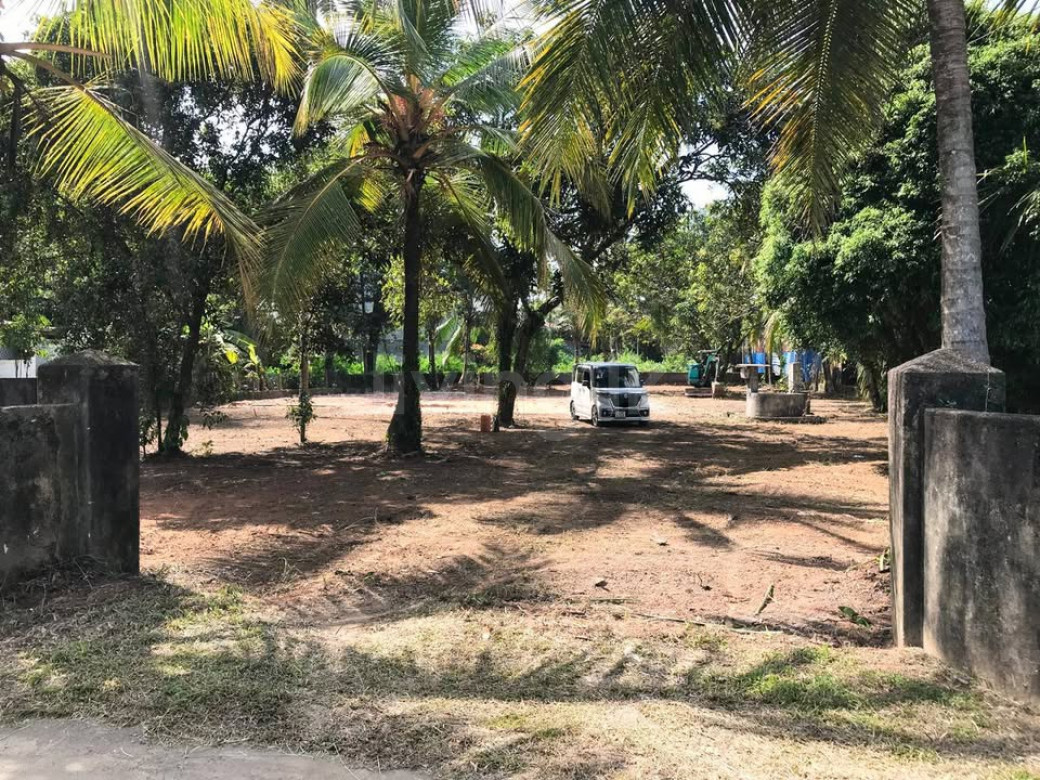 Land for sale kelaniya