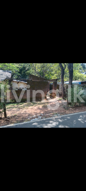 කදුරුවෙල පොලොන්නරුව ප්රදාන නගරයට 150M දුරින් පර්චස් 10 ක ඉඩම් කොටසක් විකිනිමට ඇත.