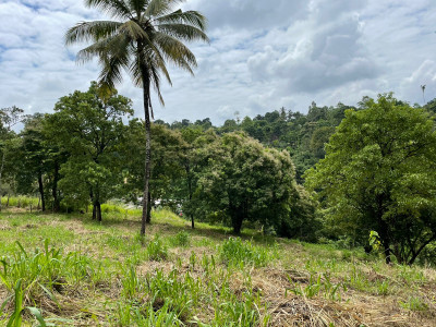 land for sale Kandy - Naranwala