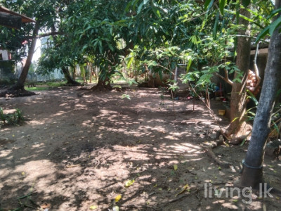 කදුරුවෙල පොලොන්නරුව ප්රදාන නගරයට 150M දුරින් පර්චස් 10 ක ඉඩම් කොටසක් විකිනිමට ඇත.