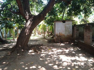 කදුරුවෙල පොලොන්නරුව ප්රදාන නගරයට 150M දුරින් පර්චස් 10 ක ඉඩම් කොටසක් විකිනිමට ඇත.