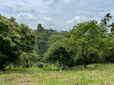 land for sale Kandy - Naranwala